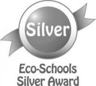 Eco-Schools Silver Award Achieved